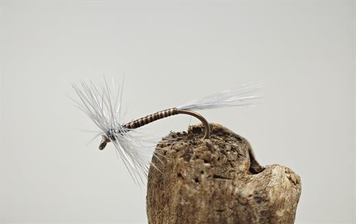 Blue Quill