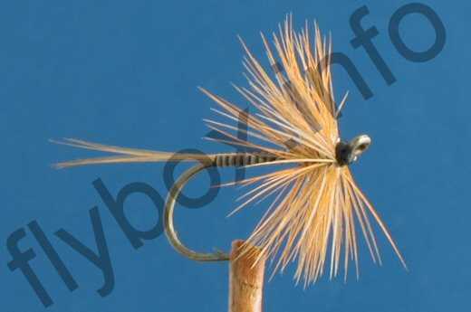 Ginger Quill Hackled