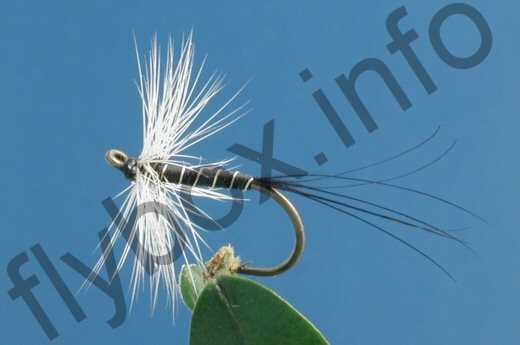 Badger Hackle Fly - Fishing Flies with Fish4Flies Worldwide