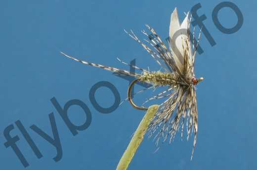 March Brown Female