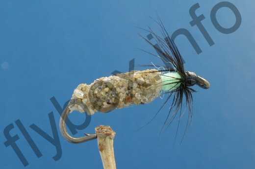 Sand Caddis