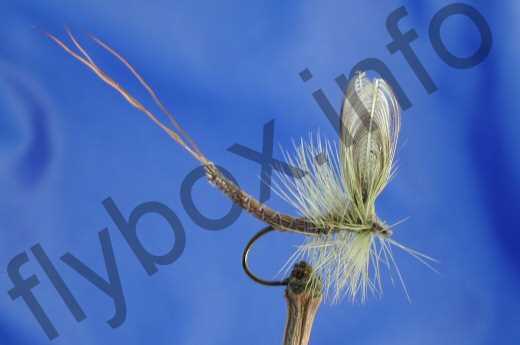 Wonder Wing Mayfly