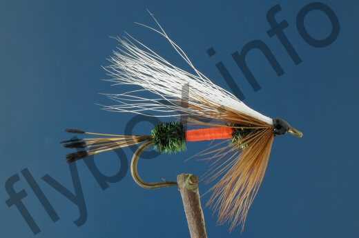 Royal Coachman Bucktail