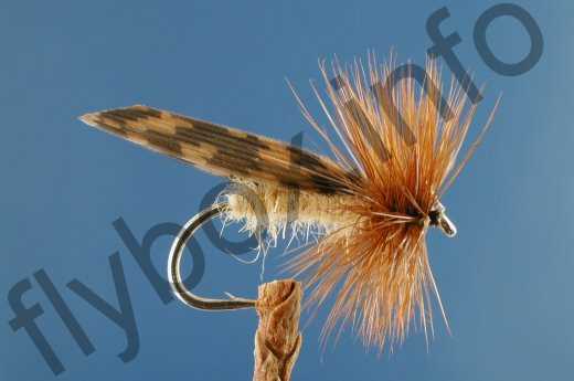 King River Caddis Light