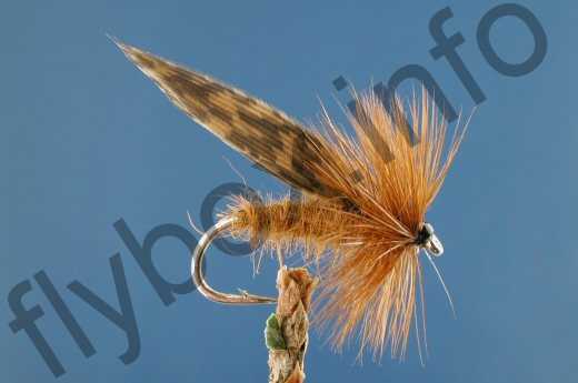 King River Caddis Dark