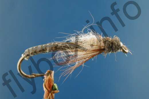 Caddis Crawler