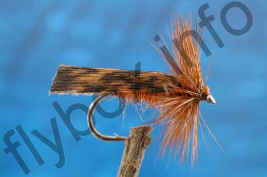 Small Brown Sedge