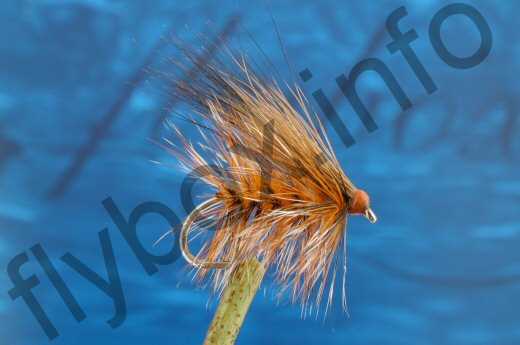 Large Orange Sedge