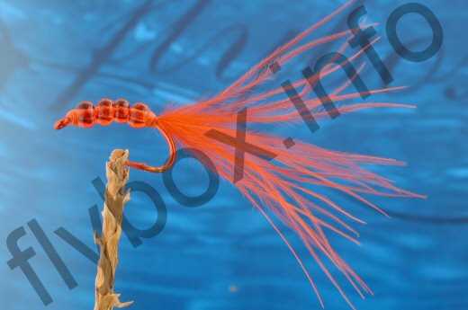 Beady Bloodworm