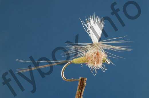Parachute Tups Indispensable Fly - Fishing Flies with Fish4Flies