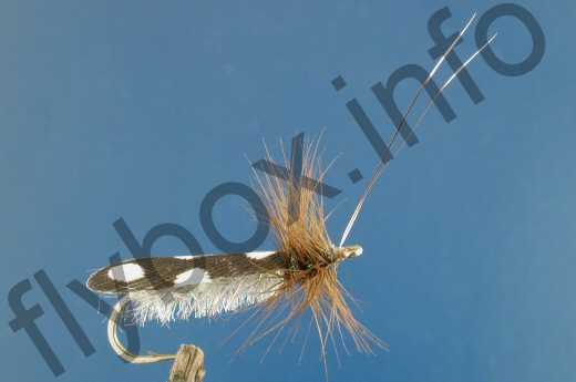 Brush Caddis