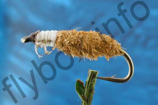 Ginger Cased Caddis