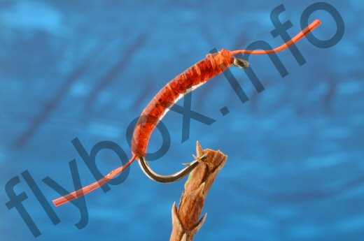 Epoxy Buzzer Bloodworm