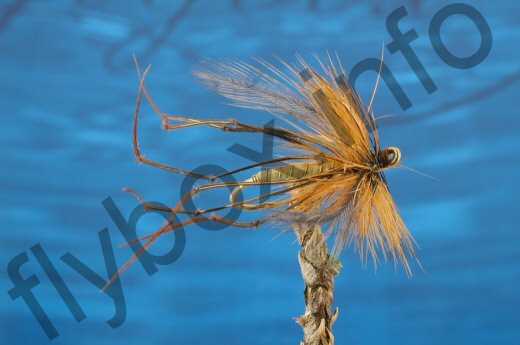 Raffia Daddy Longlegs