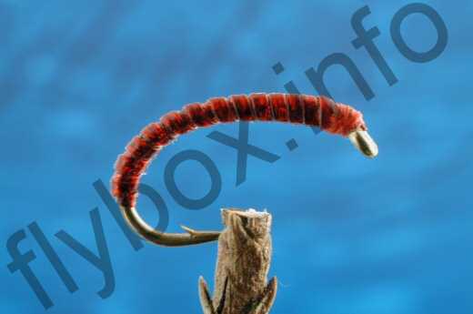 Elite Bloodworm