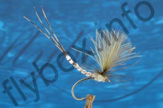 Mayfly Dun