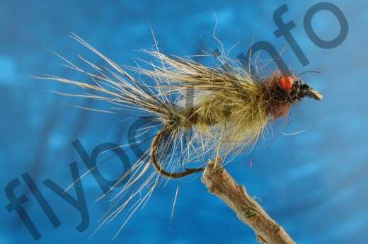 Hairy Red Eyed Blue Winged Olive Nymph