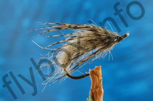 Sedge Pupa