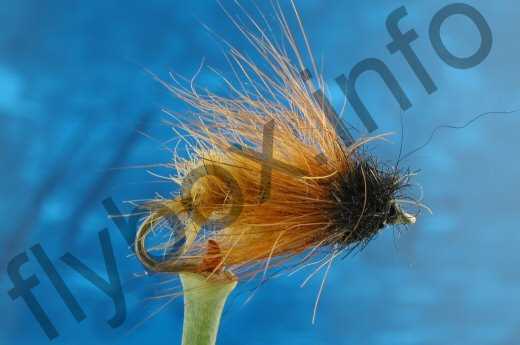 Hairy Brown Caddis Larva
