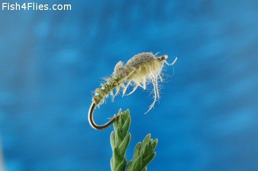 Flat Water Emerger