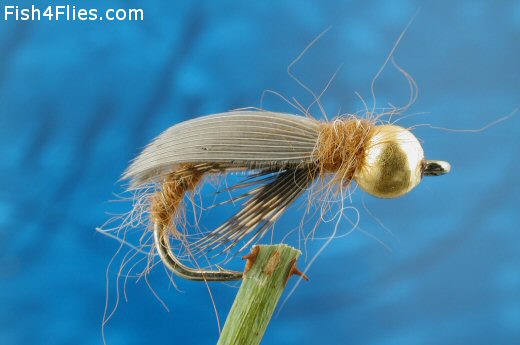 Golden Nugget Sedge Pupa