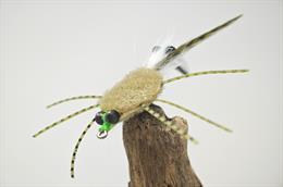Ragshead Crab