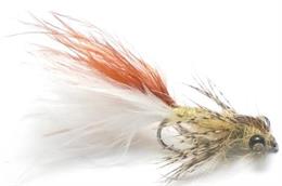 Leaded Eyed Marabuo Damsel Mayfly Nymph