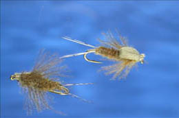Brown CDC Skimming Nymph