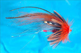 Octopussy Ally's Shrimp JC