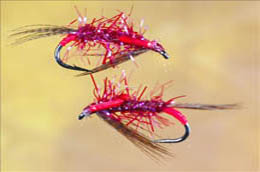 Diawl Bachs - Ian's Flies - Quality fishing flies and accessories