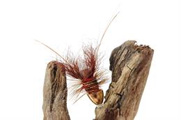 Red Francis Conehead