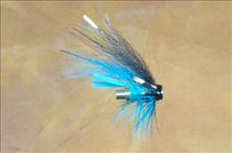 Blue and Black Templehund Bottle Tube