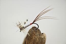 Mirage Spent Male Mayfly