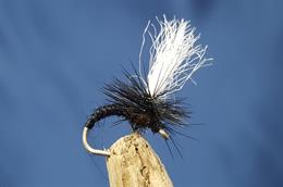 BLACK KLINKHAMMER Dry Trout & Grayling fly Fishing flies size 14 