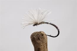 Pearly When All Else Fails