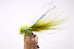 Ally McCoist Olive GH