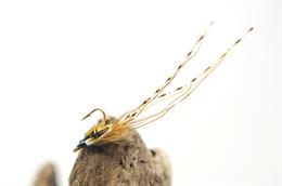 Thunder and Lightning