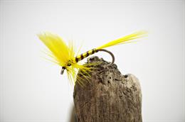 Yellow Sally