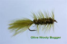 Olive Woolly Bugger