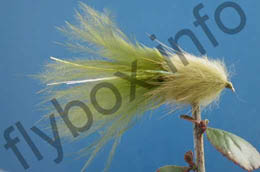 Stewart's Millionaire Taddy Olive