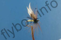 Baigent's Brown