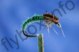 Morgan's Small Green Midge