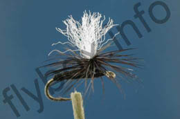 Parachute Black Gnat