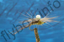 Parachute With Sight Ball