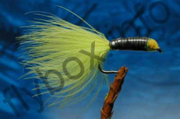 Eyed Stalking Bug Yellow