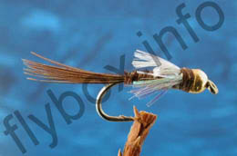 Tungsten Pearly Pheasant Tail Nymph