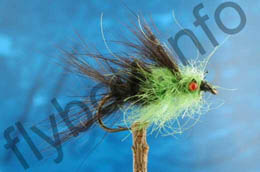 Hairy Red Eyed Macmonty  Green