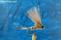 Elie's CDC Late Emerger