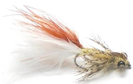 Leaded Eyed Marabuo Damsel Mayfly Nymph