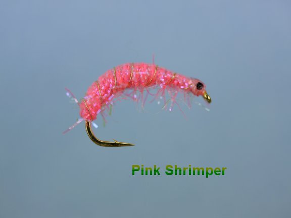 Hot Pink Shrimper